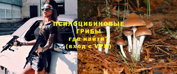 твердый Рославль