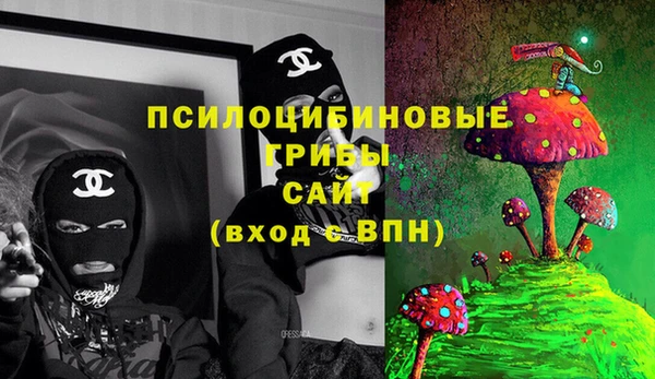сатива Абаза