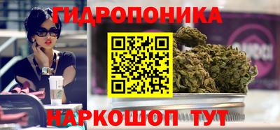 крисы Гусь-Хрустальный