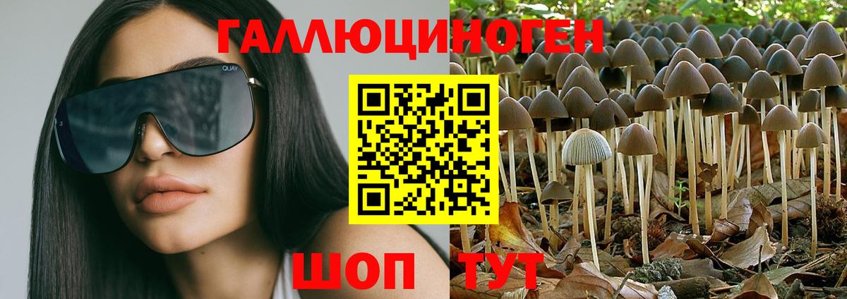 Галлюциногенные грибы Cubensis Краснодар